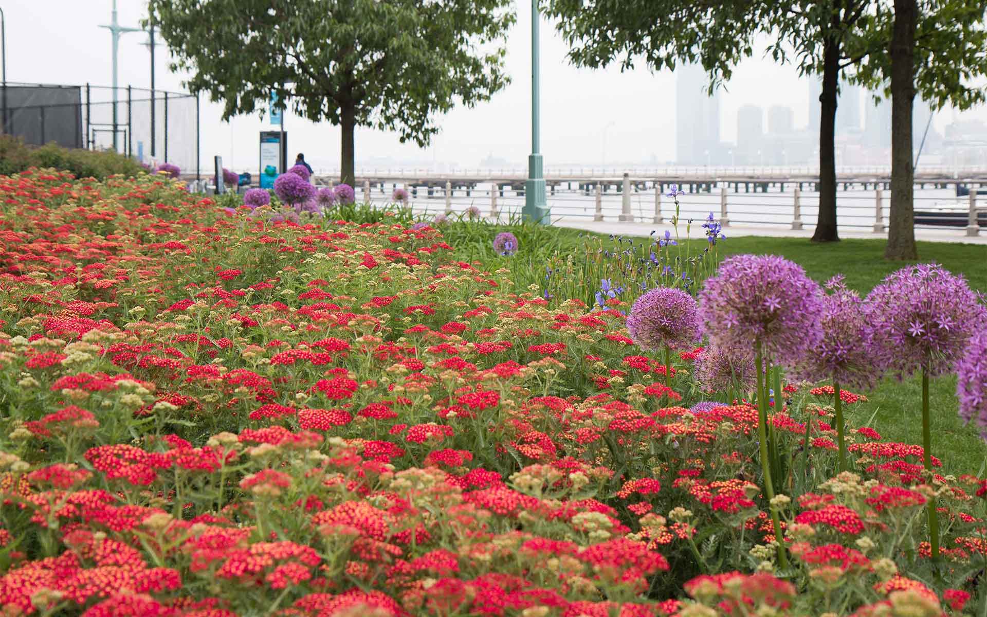 LPC-HRPK-greenery-4