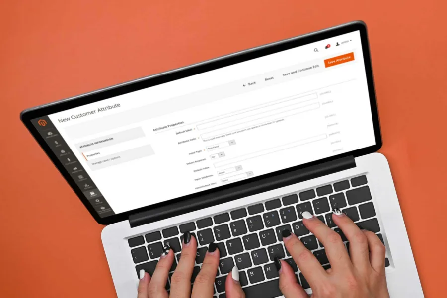 Magento Extensions Guide