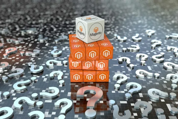 A Magento headless concept