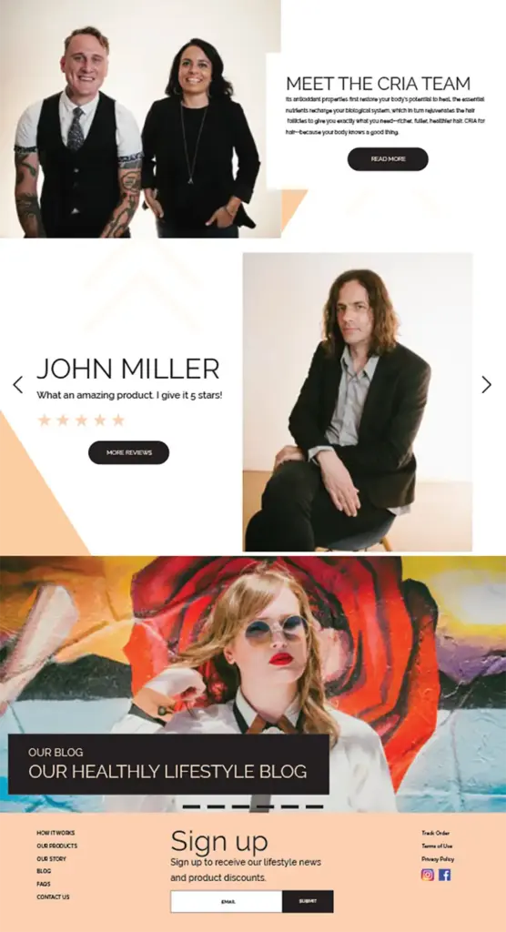 LPC CRIA 2 CRIA Hair eCommerce website design.