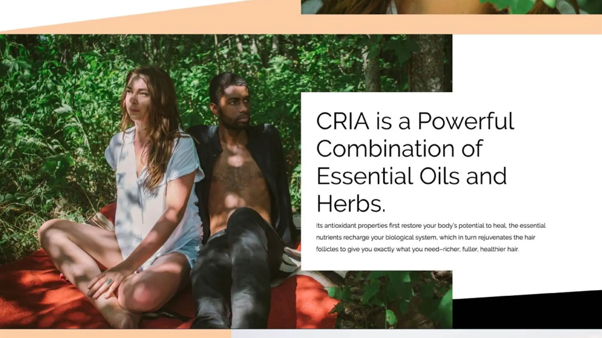 LPC CRIA Interface Design CRIA website interface design by Living Proof Creative.